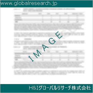 グローバルリサーチ調査資料のイメージ